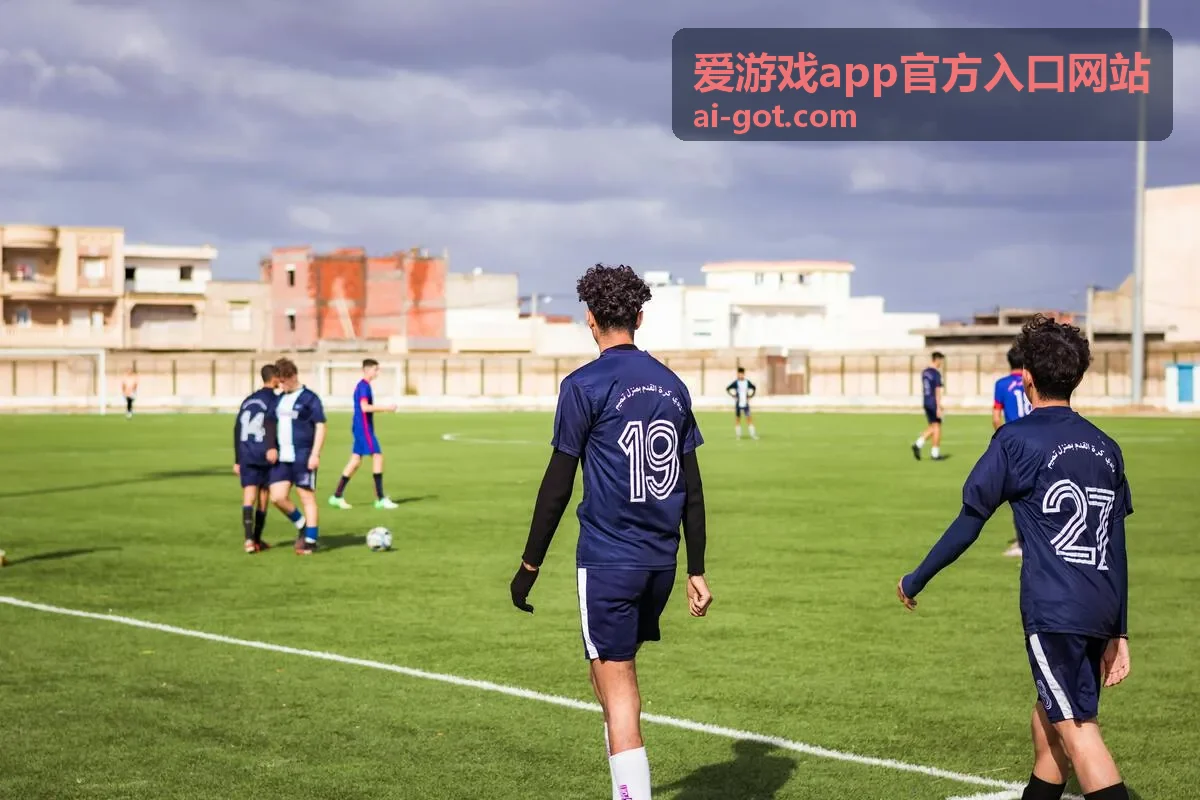 爱游戏app官方入口网站按设备类型完成安装的示意
