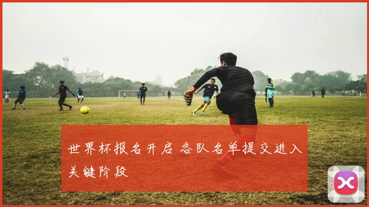 世界杯报名开启 各队名单提交进入关键阶段