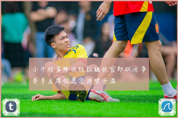 小牛对黄蜂攻防拉锯收官即双方争夺季后席位悬念持续升温