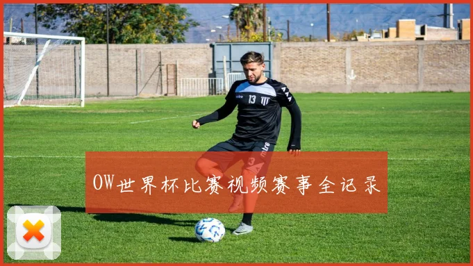 OW世界杯比赛视频赛事全记录